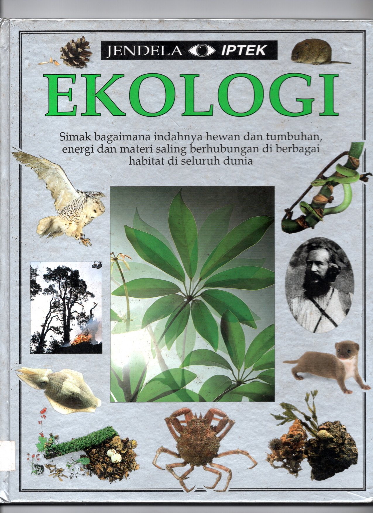 Jendela Iptek: EKOLOGI